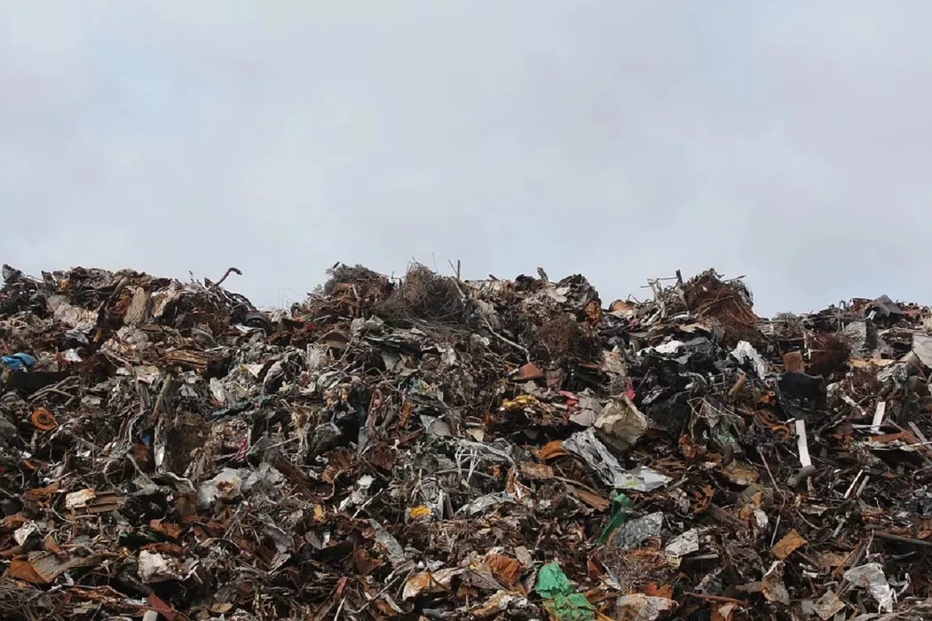 Власти Романовского района пытаются избавиться от арендатора перспективного мусорного полигона