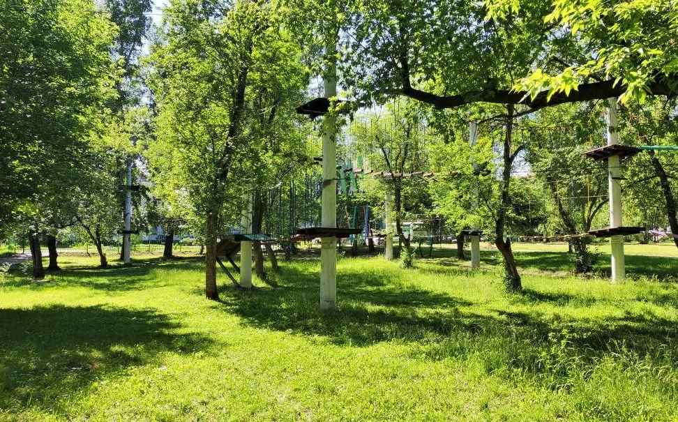 Девочка едва не не погибла в веревочном парке в Новоалтайске