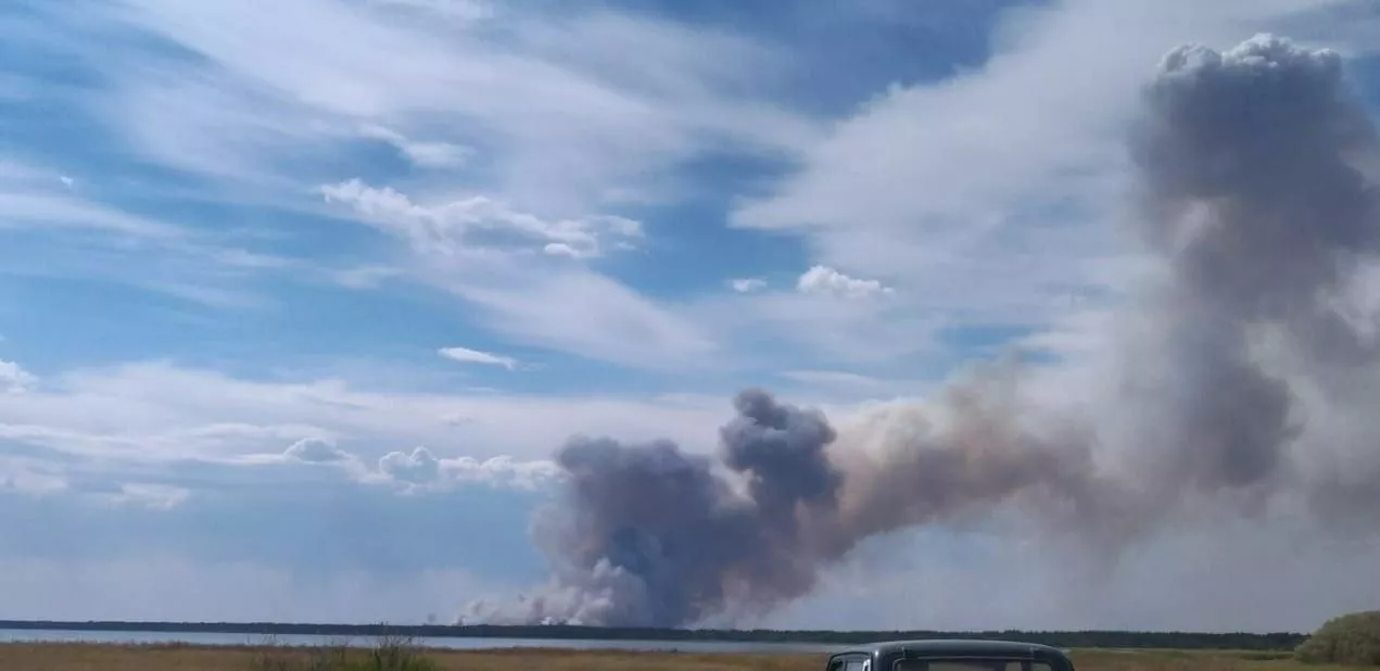 Лесной пожар в Егорьевском районе охватил уже девять тысяч гектаров