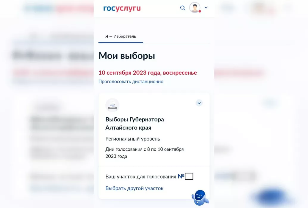 В Алтайском крае открылась регистрация на дистанционное электронное голосование