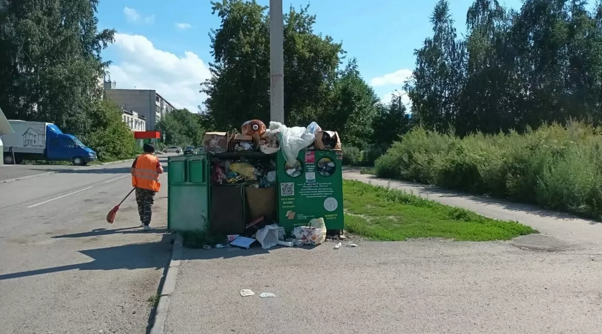 Бийчане завалили экобоксы для сбора вторсырья гнилыми овощами и трупами животных