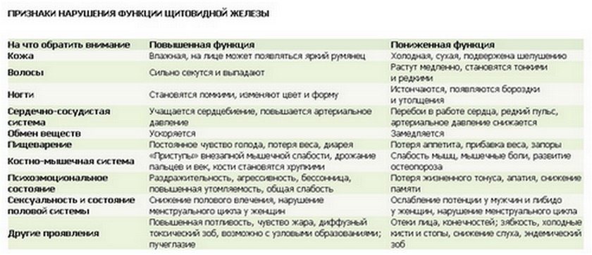 Клиника кибернетической медицины. Маленький дирижер большогоорганизма или зачем нужна щитовидная железа?