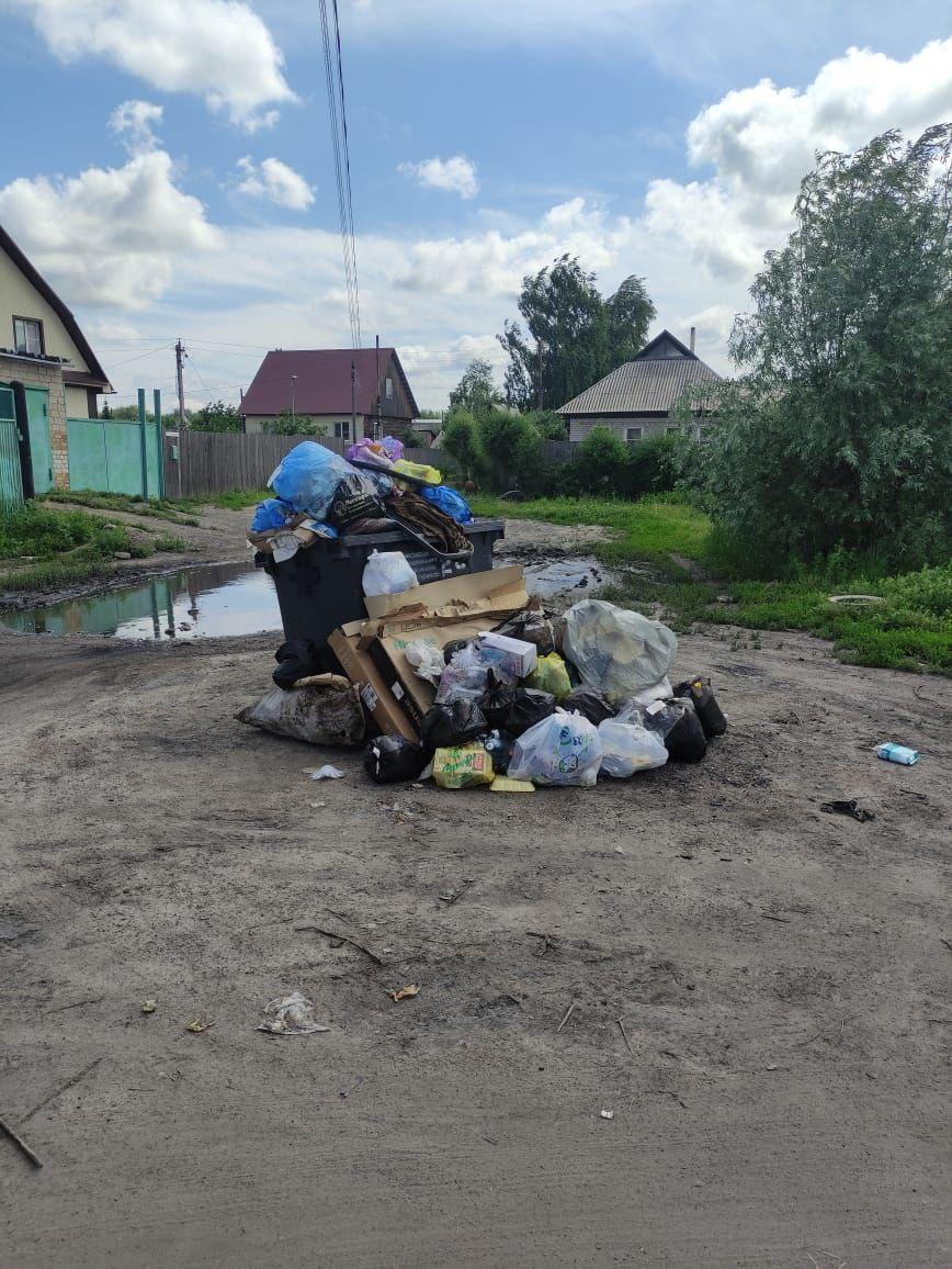 Власти Рубцовска продолжают полемизировать с регоператором по поводу причин мусорного кризиса