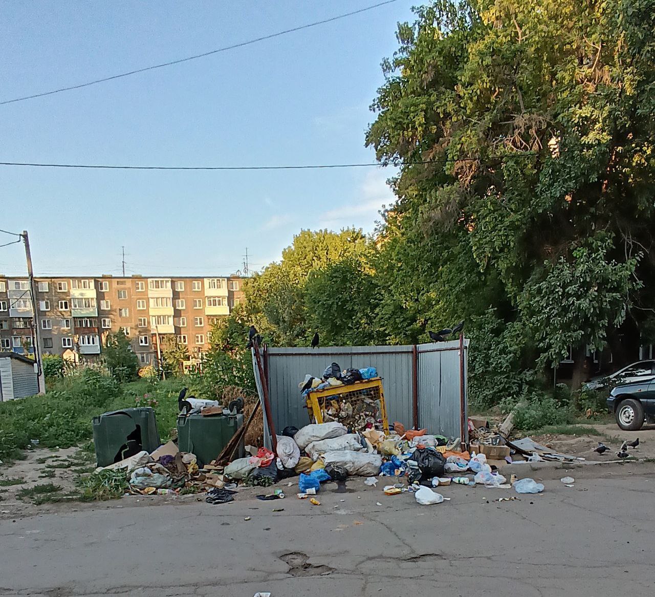 Можно ли вынести диван на мусорку во дворе