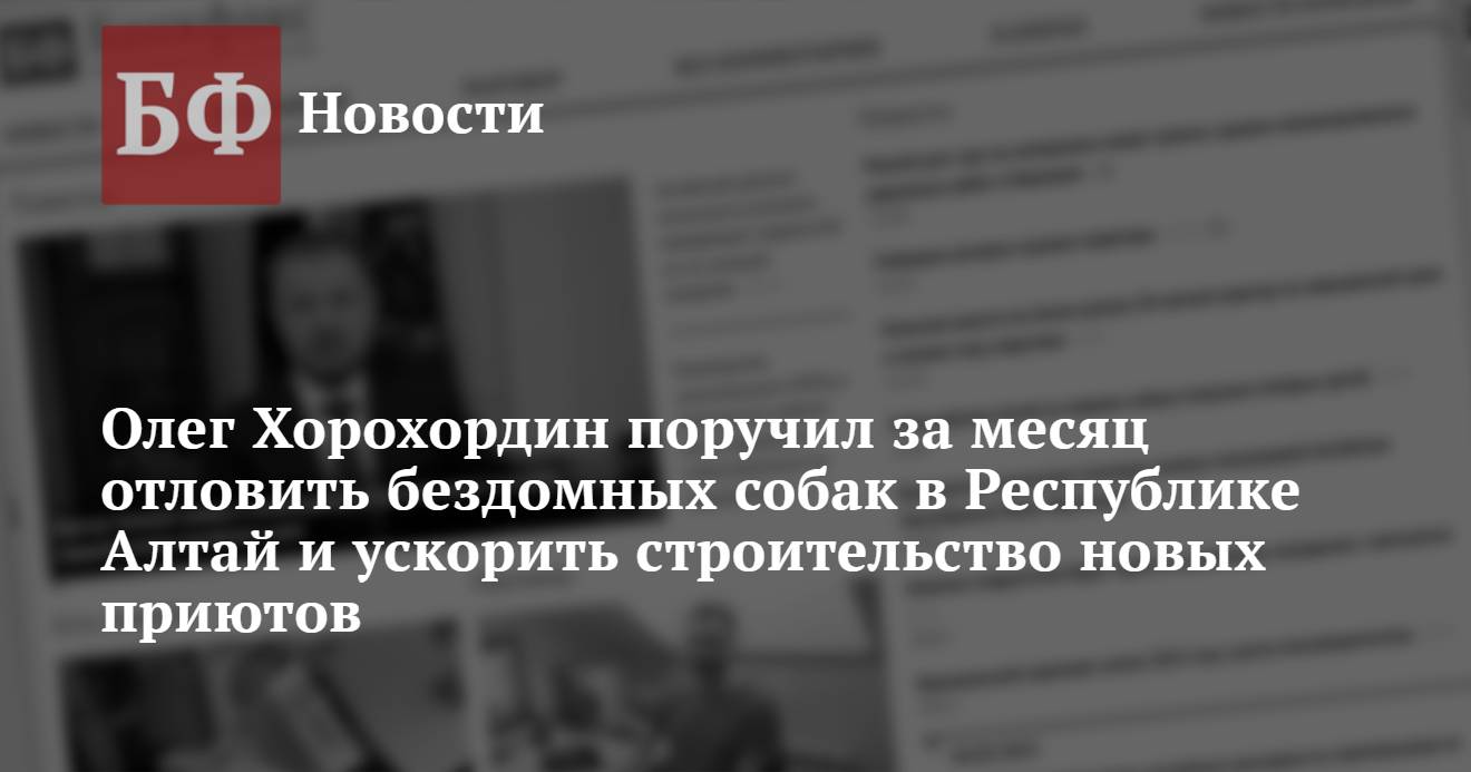 Олег Хорохордин поручил за месяц отловить бездомных собак в Республике  Алтай и ускорить строительство новых приютов