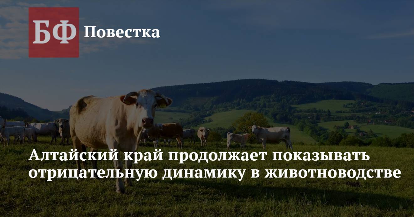 Алтайский край продолжает показывать отрицательную динамику в животноводстве