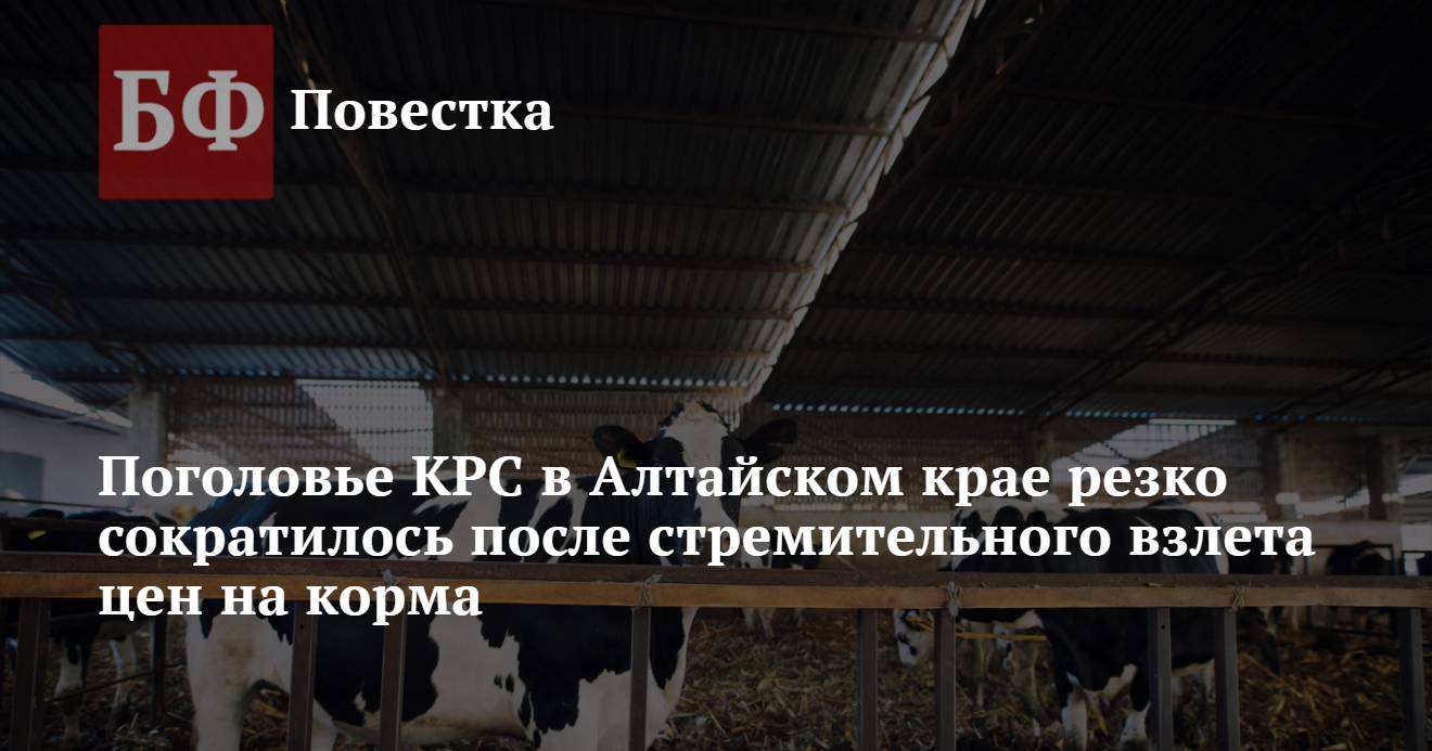 Поголовье КРС в Алтайском крае резко сократилось после стремительного  взлета цен на корма