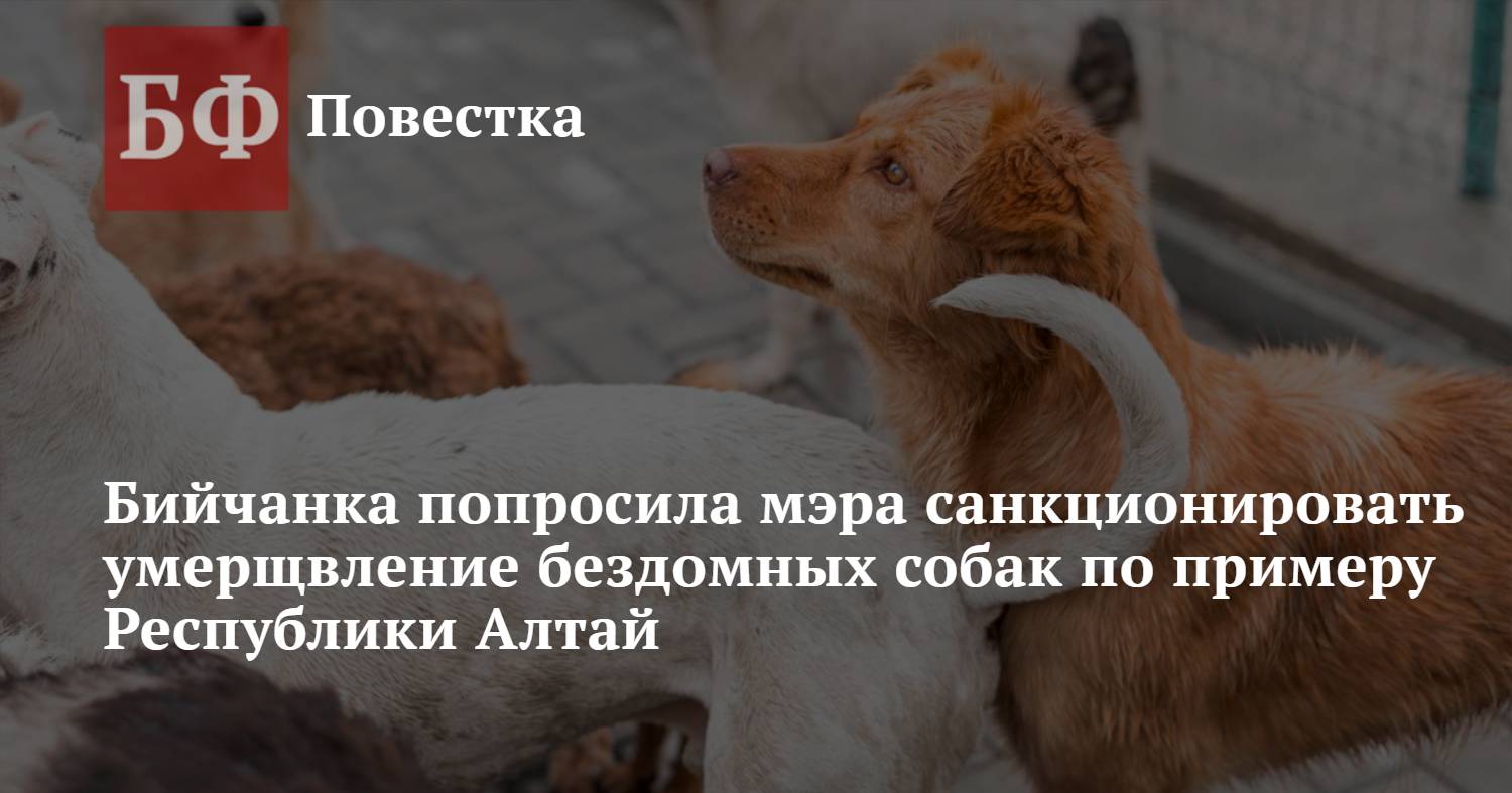 Бийчанка попросила мэра санкционировать умерщвление бездомных собак по  примеру Республики Алтай