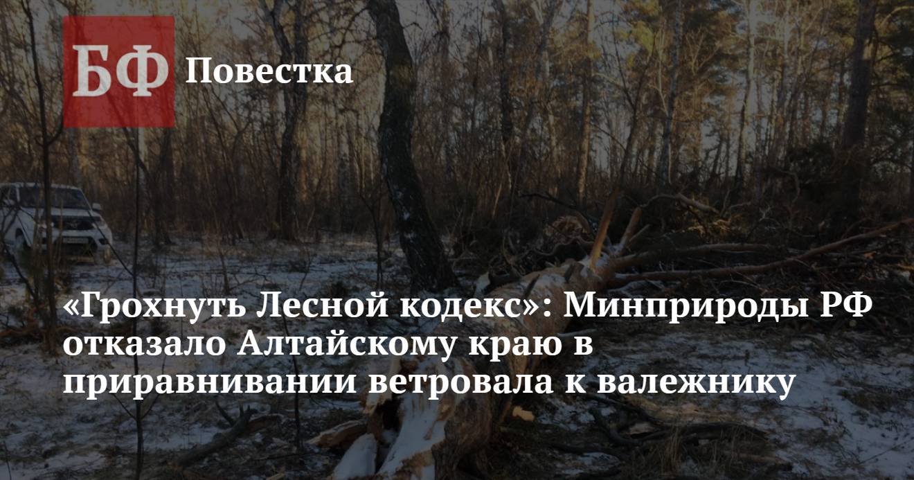 Грохнуть Лесной кодекс»: Минприроды РФ отказало Алтайскому краю в  приравнивании ветровала к валежнику